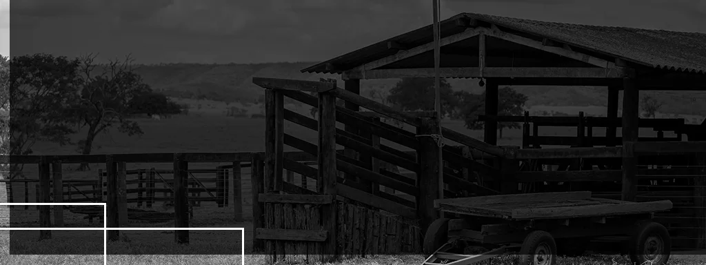 Seguro de Benfeitorias e Produtos Agropecuários